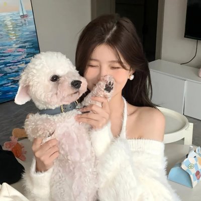 萌犬好声音3